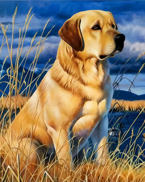 Golden Labrador dog sitting in tall grass
