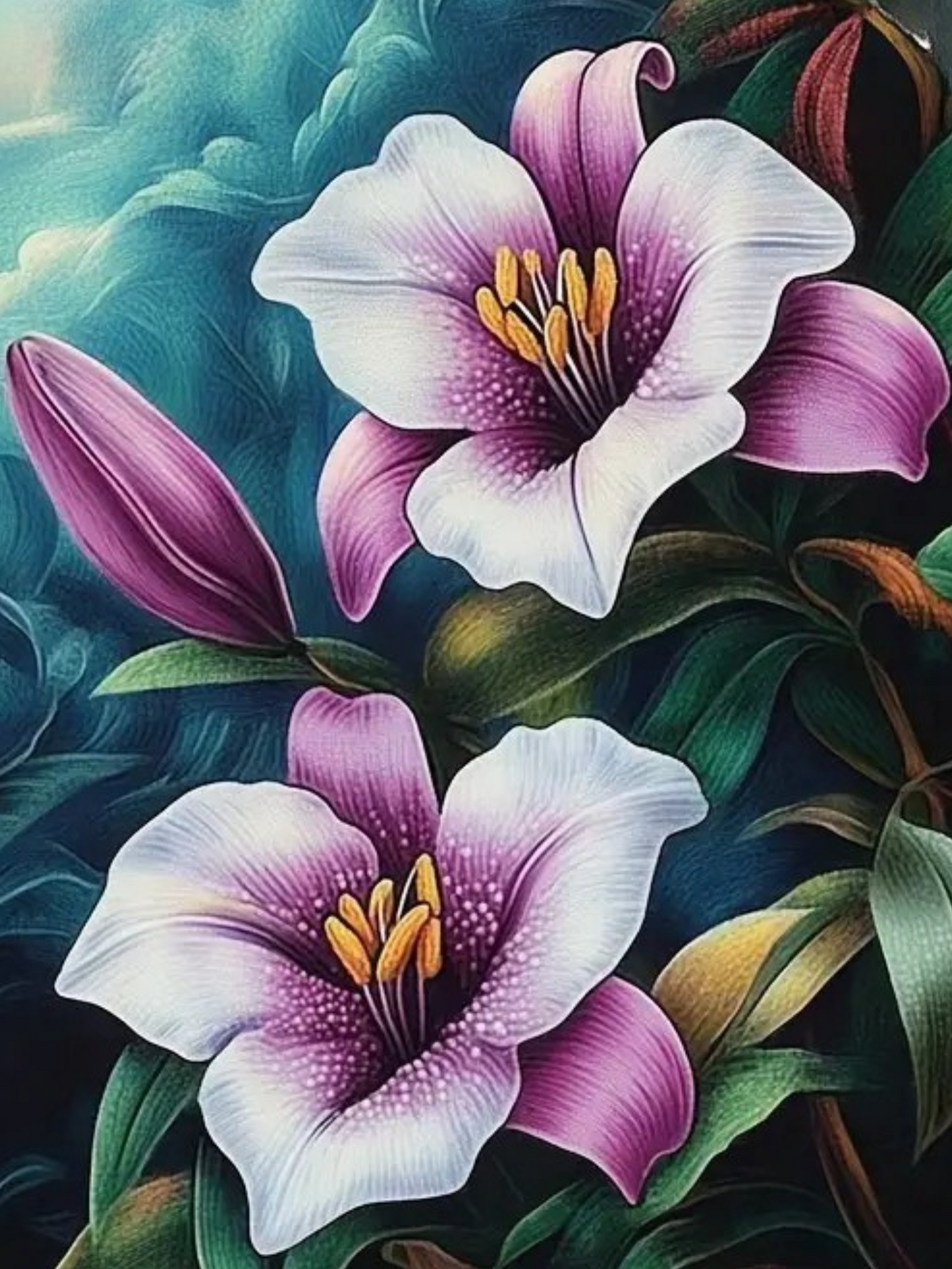 Orchids