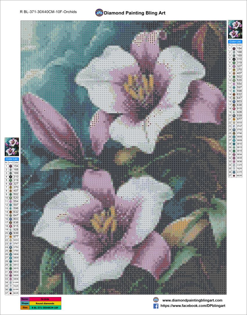 RBL-371-30X40CM-10F-Orchids