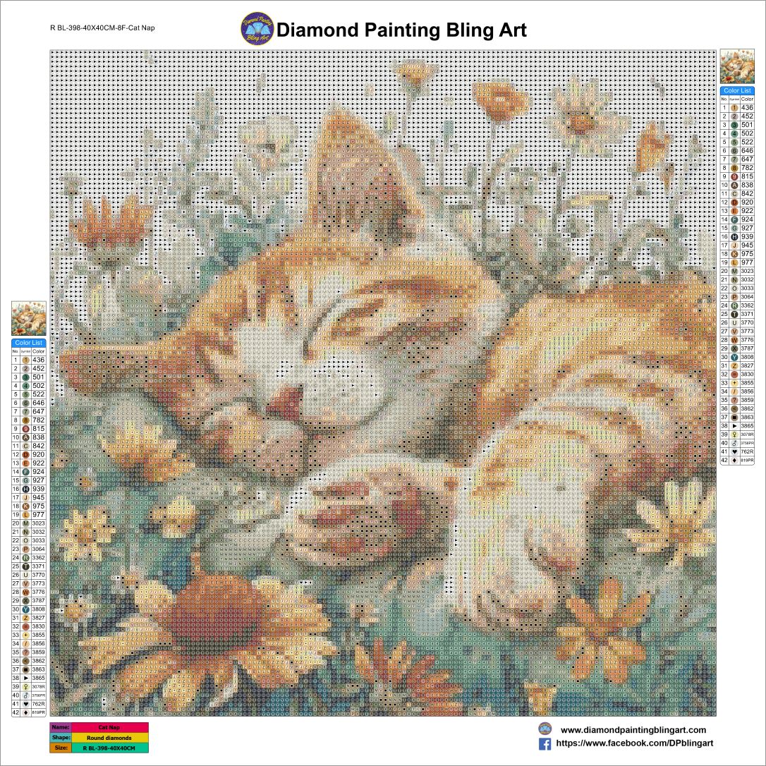 RBL-398-40X40CM-8F-CatNap