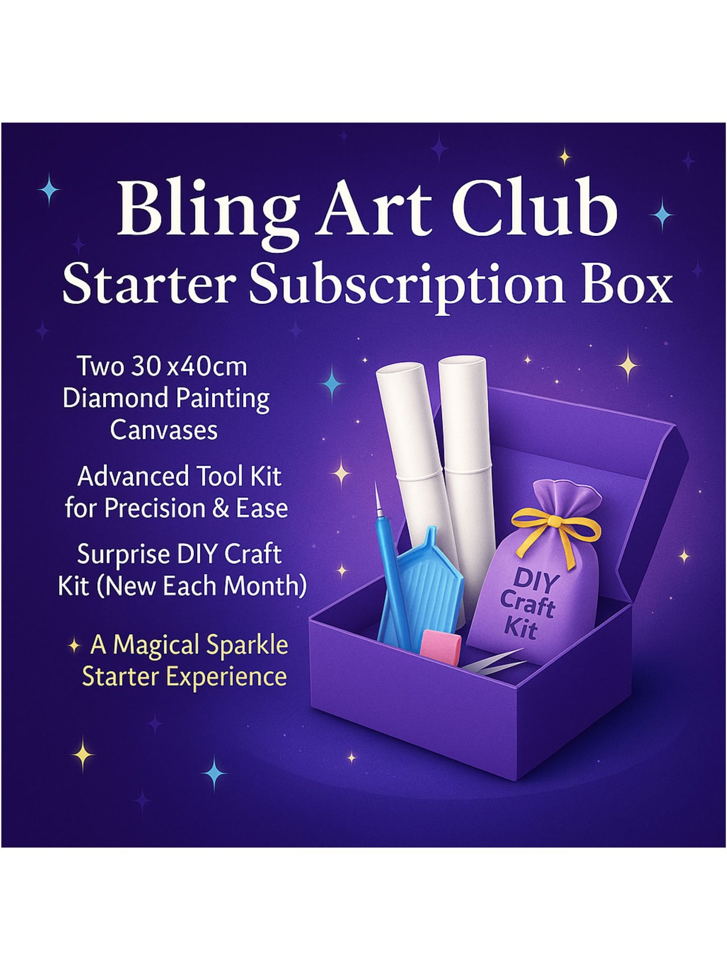 Bling Art Club Starter Subscription Box
