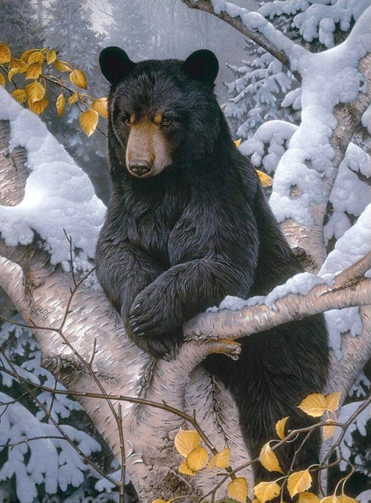 Majestic black bear sitting in a snowy birch tree. Winter wildlife diamond painting kit.
