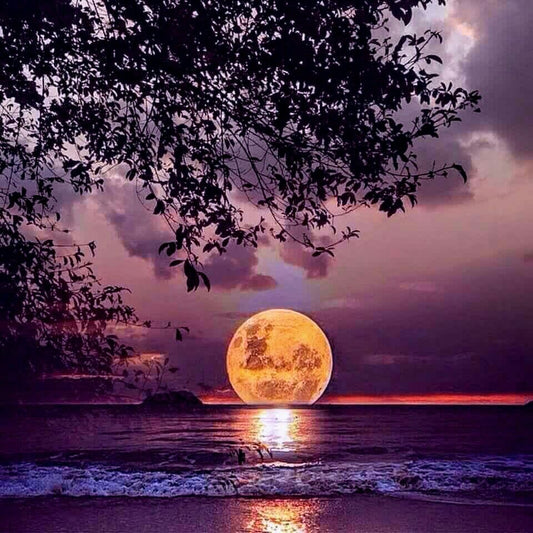 Full moon over water with tree silhouette. Diamond painting kit, night landscape