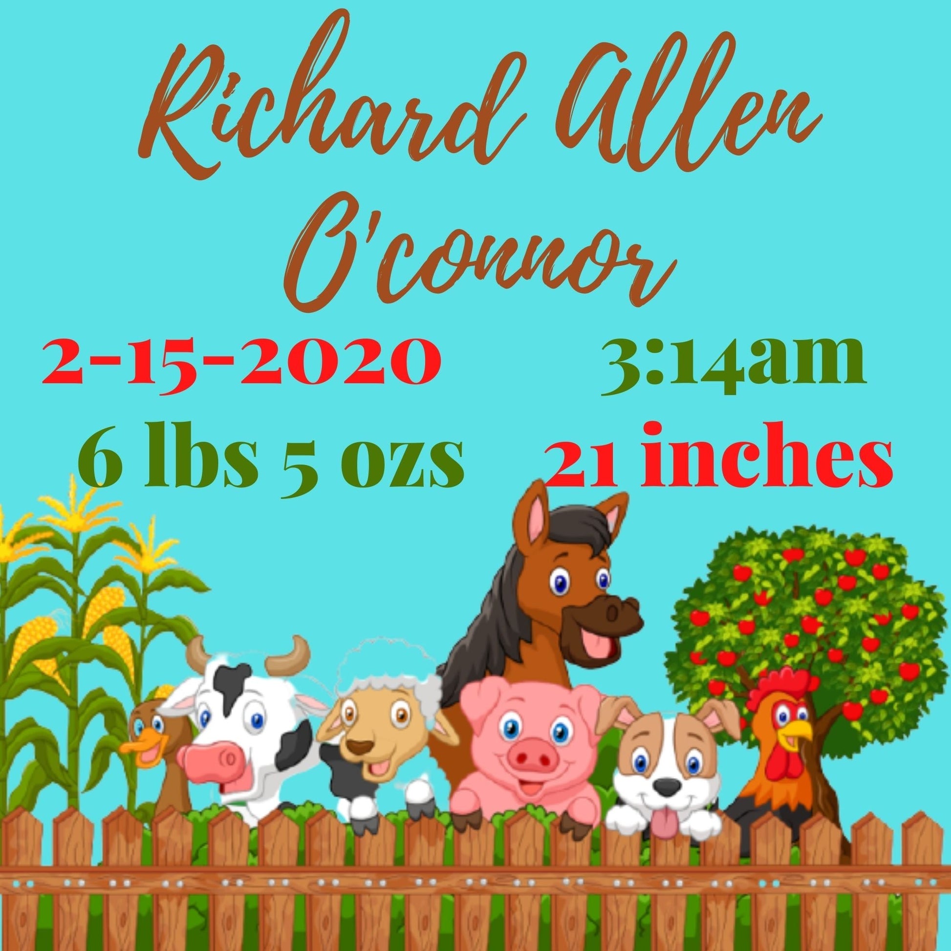 Personalized Baby Announcement - Diamond Painting Bling Art