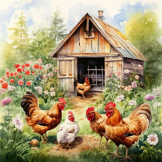 Chicken Coop