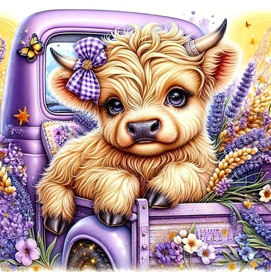 Chillin in My Truck