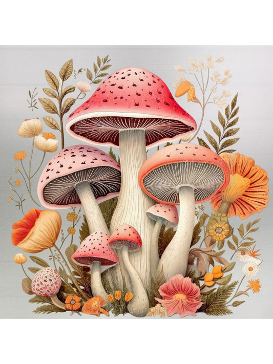 Magical Mushrooms