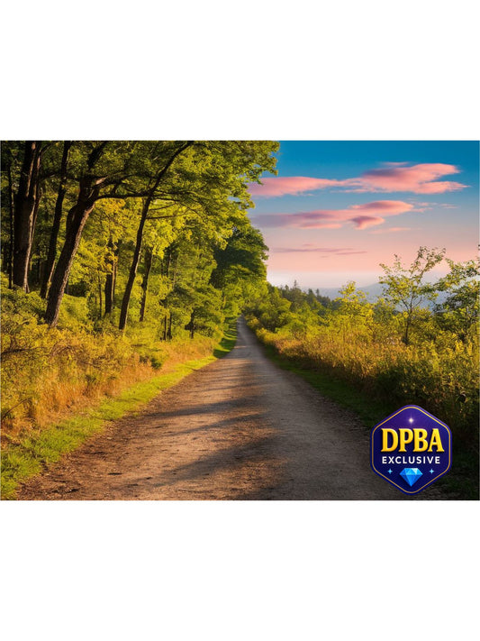Sunny forest trail leading into distance with wildflowers, peaceful DPBA exclusive scene.