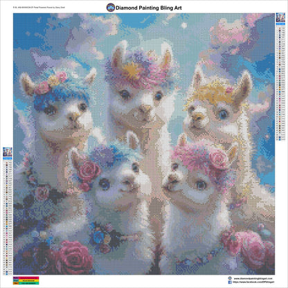 Petal Powered Pacas by Stacy Deal