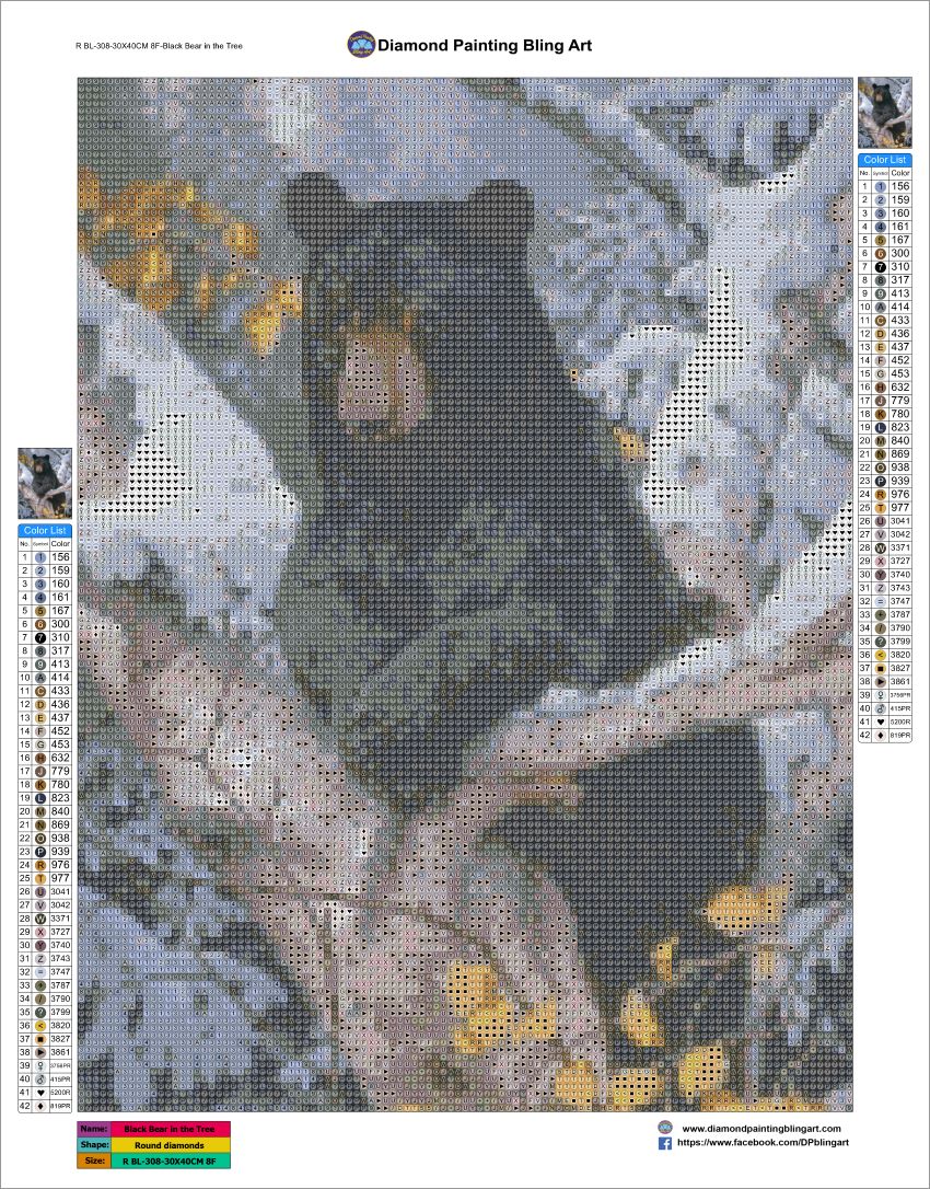 Black Bear in Tree