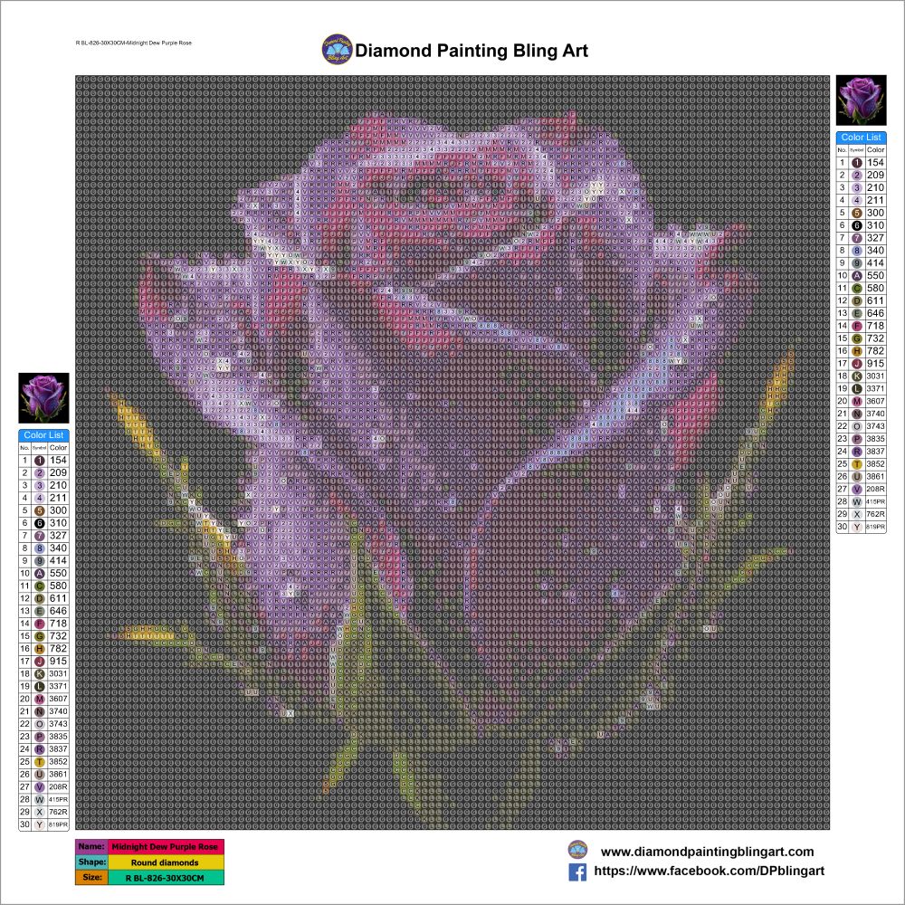 Midnight Dew Purple Rose