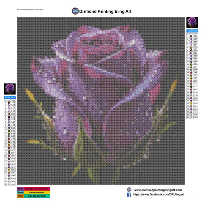 Midnight Dew Purple Rose