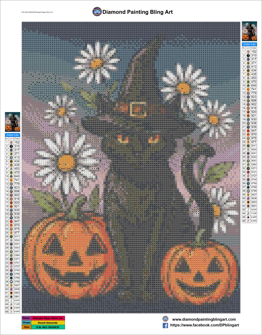 Midnight Magic Witch Cat