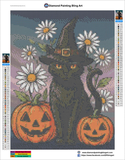 Midnight Magic Witch Cat