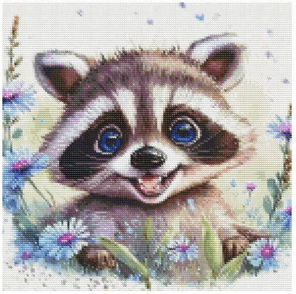 Smiling Raccoon