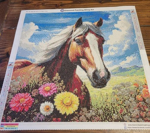 Horse in Flower Field