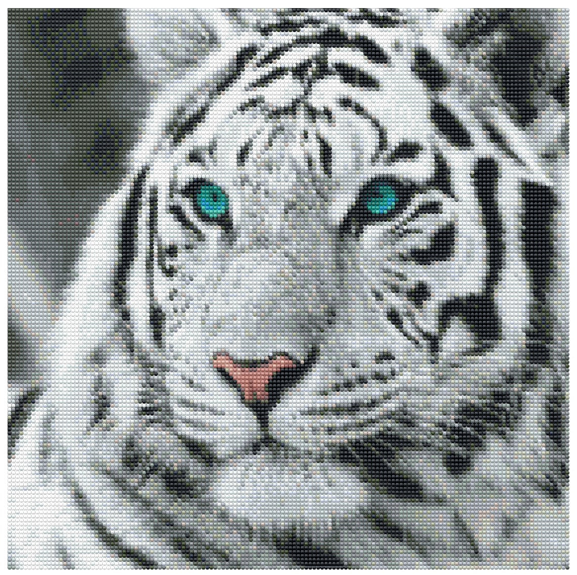 Frozen Gaze: White Tiger