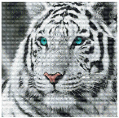 Frozen Gaze: White Tiger