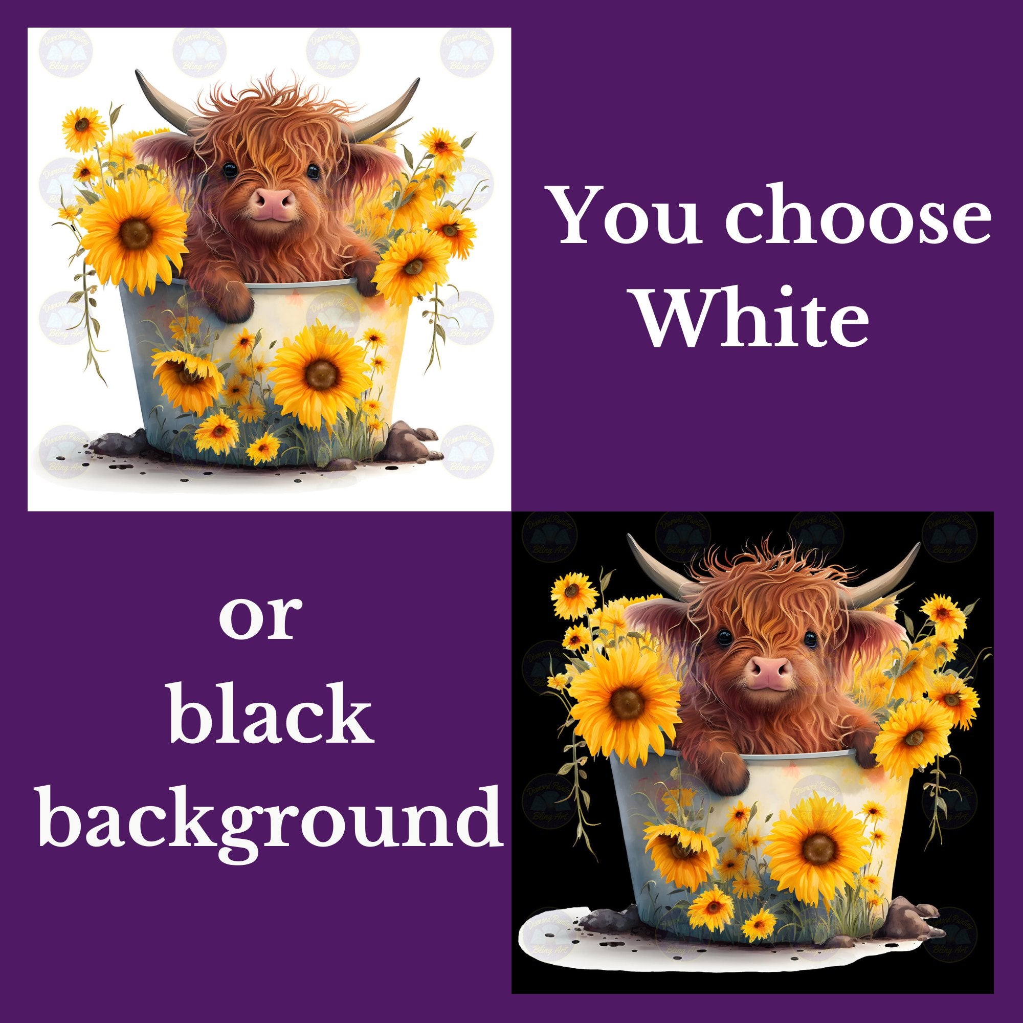 Highland Cow highland-cow