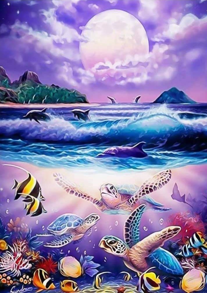 Dolphins & Turtles