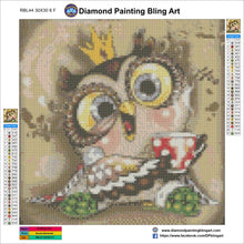 Load image into Gallery viewer, Drinking Owl - Diamond Painting Bling Art
