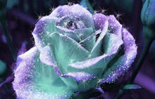 Load image into Gallery viewer, Sparkling Purple Flower
