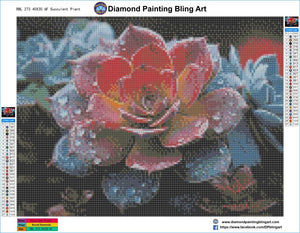 Succulent Plant with Water Droplets - Diamond Painting Bling Art