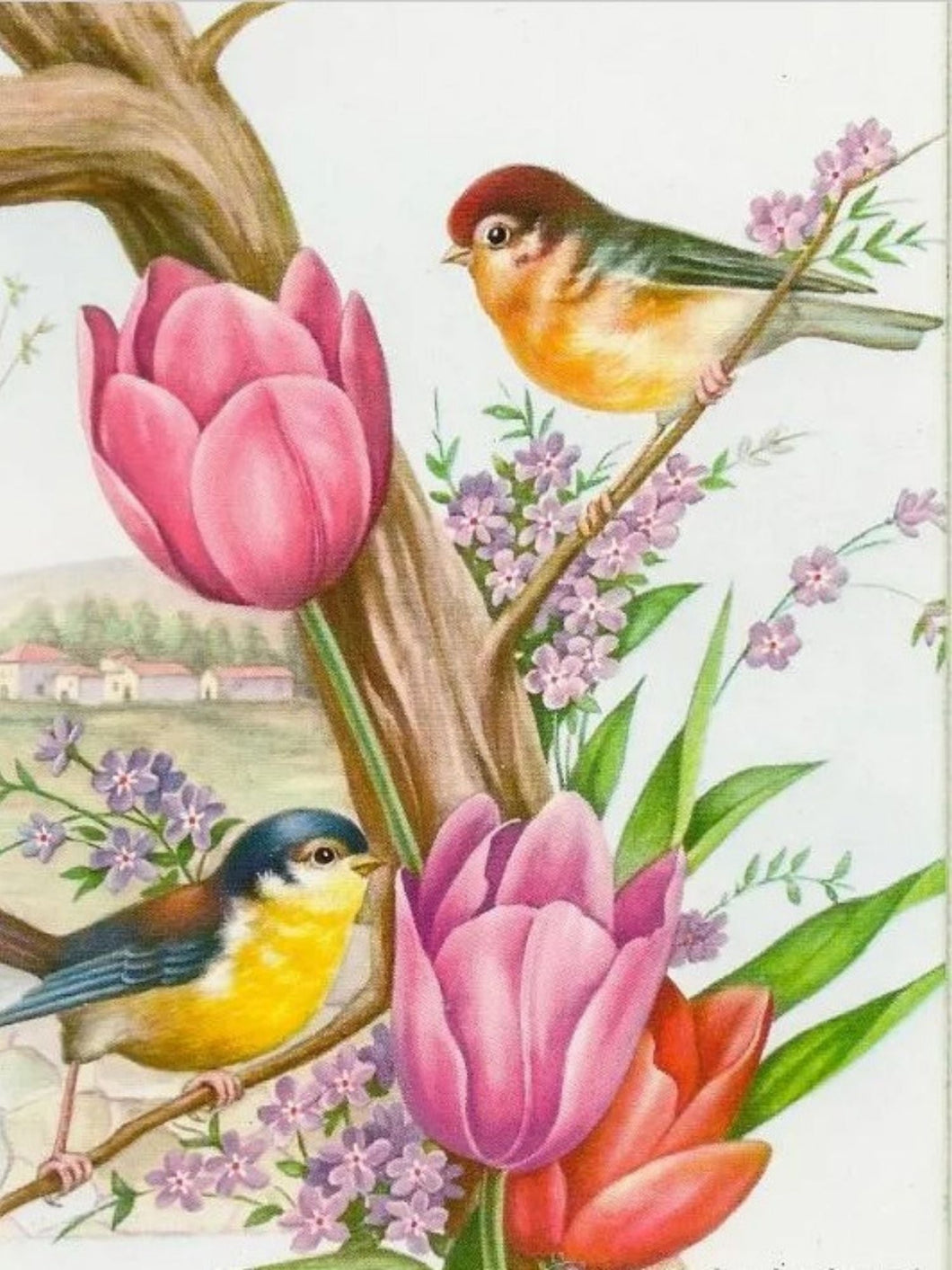 Tulips & Spring Birds - Diamond Painting Bling Art
