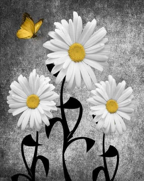 White daisies with yellow centers and a yellow butterfly. Diamond painting kit